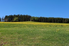 IMG-20190128-WA0059