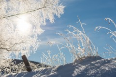 IMG-20190128-WA0063