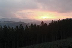 IMG-20190128-WA0064